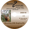 89-DVD119